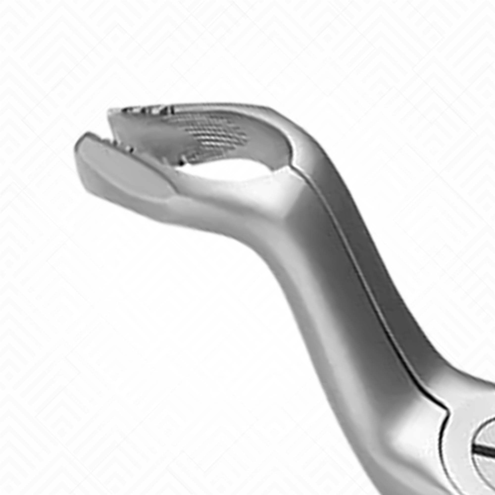 Gentle Extraction Forceps-67 | New Med Instruments